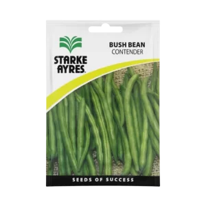 Starke Ayres Contender Bush Bean Seeds 30g