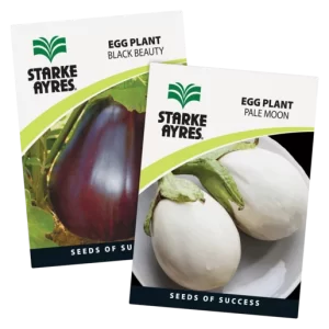 Starke Ayres Variety Egg Plant Seeds