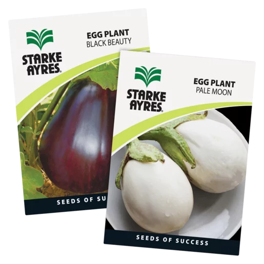 Starke Ayres Variety Egg Plant Seeds