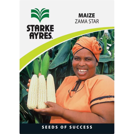 Starke Ayres Maize Variety Vegetable Seeds