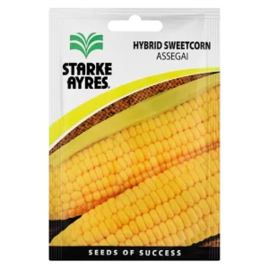 Starke Ayres Assegai Hybrid Sweetcorn Vegetable Seeds