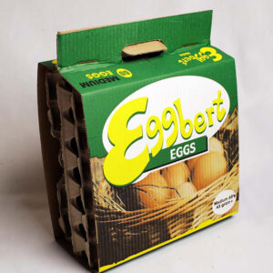 Eggspert Eggs Medium Dozen 5/60'S