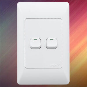 Pays Wall Switch 2 Lever 4x2