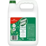 Handy Andy 5Lt Regular/Eucalyptus